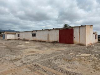 Propriété à Totana. Nave agricola con terreno paraje la costera en totana