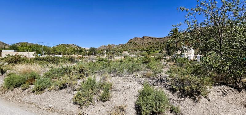 Foto 58907481-098a-4149-b9fa-2584724564ee. Fondo rustico in Totana