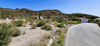 Finca rústica a Totana. Venta parcela (los huertos) 1700 m2