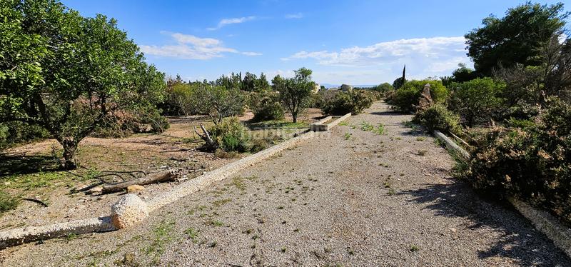 Foto 46cdd052-e42b-4786-a451-aec69a9a09fe. Chalet avec cheminée piscine dans Totana