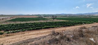 Finca rústica a Totana. Venta parcela rustica (el raiguero- totana) luz y agua