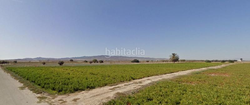 Foto 8aaf5749-ea52-4446-bfaf-24d82b877d3c. Finca rústica venta parcela rústica zona torremocha en Totana