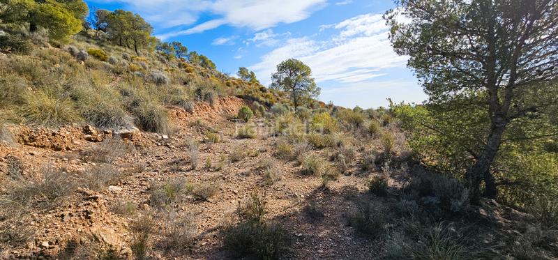 Foto 115fd67f-7000-4cf4-b055-1adb7494c6e4. Finca rústica venta 3 parcelas edificables en los aramillejos en Totana