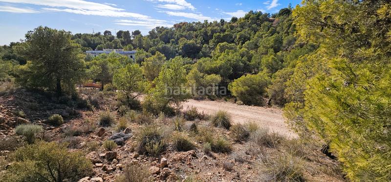 Foto 79f4d828-9e0e-462f-9eb7-1e8b83214d52. Finca rústica venta 3 parcelas edificables en los aramillejos en Totana