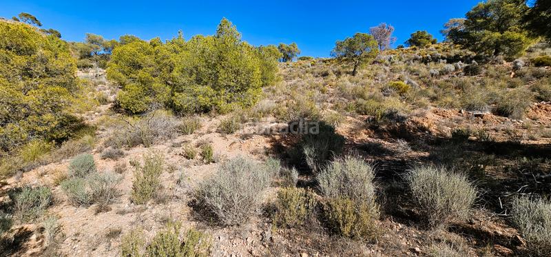 Foto 816bd8c6-d114-431f-85bd-516fa982aba6. Finca rústica venta 3 parcelas edificables en los aramillejos en Totana