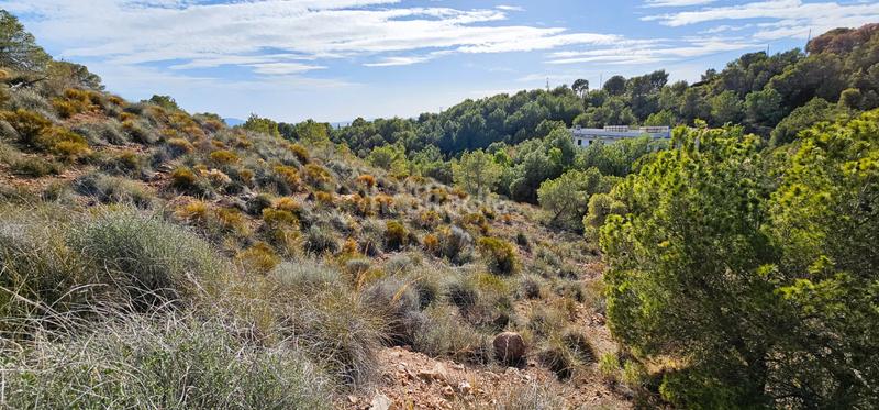 Foto a7983d3c-91fe-429c-8b19-4c6c0d0b40f5. Finca rústica venta 3 parcelas edificables en los aramillejos en Totana