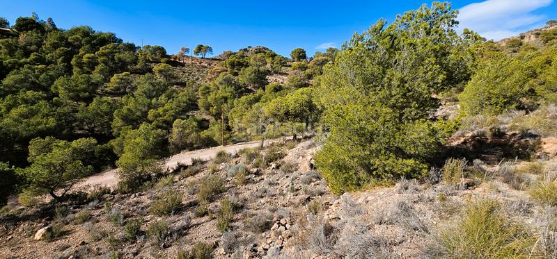 Foto f4ab8f25-da5a-4e35-b99d-187b1cafb81a. Finca rústica venta 3 parcelas edificables en los aramillejos en Totana