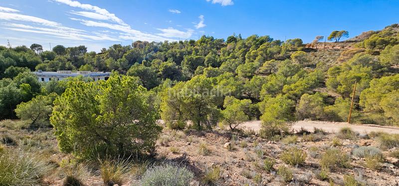 Foto f9419f48-d196-42a6-92f4-6847e0cb2330. Finca rústica venta 3 parcelas edificables en los aramillejos en Totana