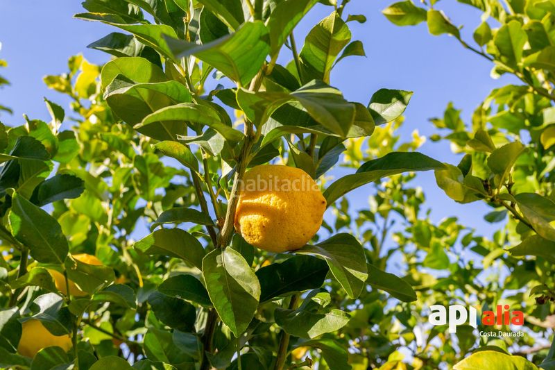 Foto 61417647-7cf0-451b-a76b-8416368ca27d. Casa amb calefacció aparcament a Centre Salou