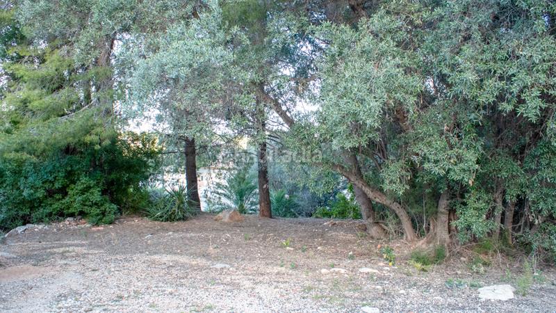 Foto 56763957-09fe-40f7-8460-e55bb9811efe. Terreno residencial en El Montgó Dénia