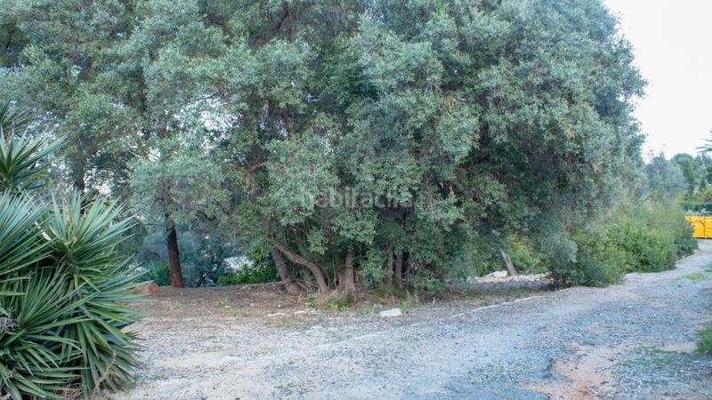 Foto 84cbf0b5-608c-4668-ab67-a86bffdf909c. Wohngrundstück in El Montgó Dénia