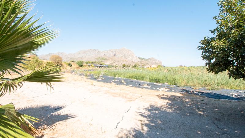 Foto c3760de5-9b85-41bb-ae9a-985e6997f4f2. Masia amb calefacció aparcament piscina a Ondara