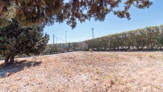 Terreny residencial a L'Almadrava - L'Estanyó