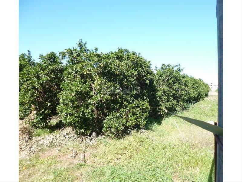 Foto eebd3104-bb03-4d2d-999d-21820ad553e8. Terrain résidentiel dans La Xara-La Sella Dénia