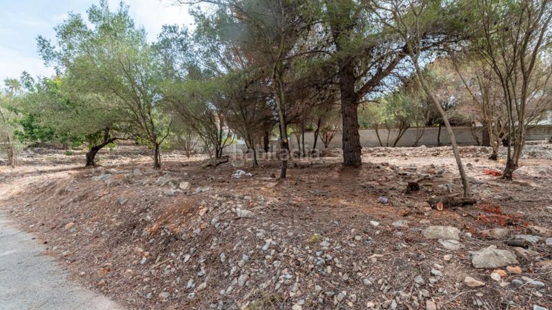 Foto 8f547b0f-32ed-4b5a-90ef-a2fc3dd08248. Residential plot in El Montgó Dénia