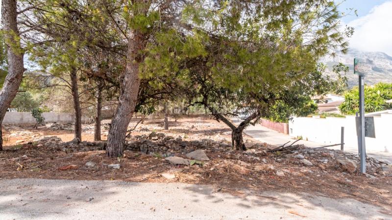 Foto 1ad1e49a-6cc4-4599-8d34-f84dbdd6a535. Terreno residenziale in El Montgó Dénia