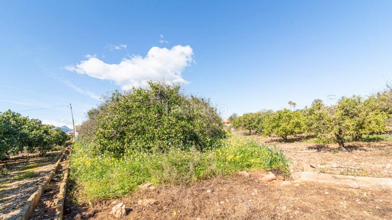 Foto 87939f93-cdcb-4563-adf3-4fb5ce7d93c2. Terreno residenziale in Ondara