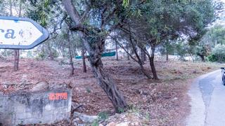Terreno residenziale in El Montgó