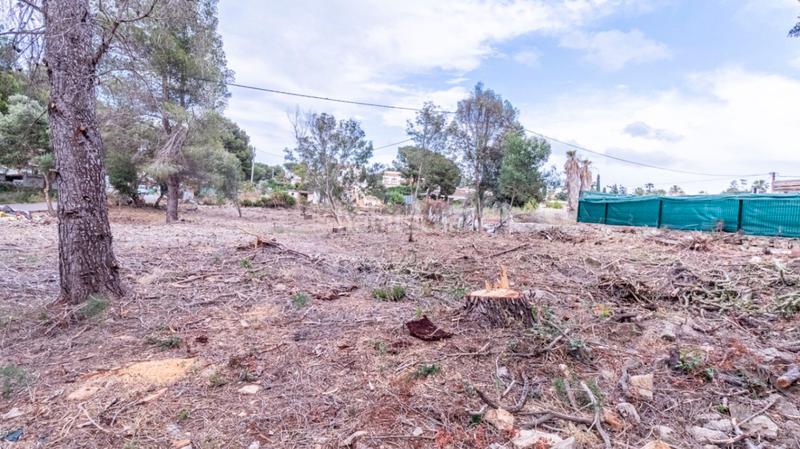 Foto 828c90ea-8fad-462b-8c17-6dc4ee8b2c0e. Terreny residencial a El Montgó Dénia