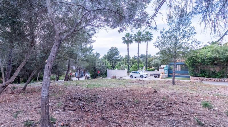 Foto a430daae-6d24-40a9-8ab8-ed75f48243af. Terreny residencial a El Montgó Dénia