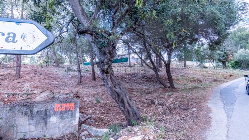 Foto d4ab6f9d-9792-4e9f-9364-3ffab30520eb. Terreny residencial a El Montgó Dénia