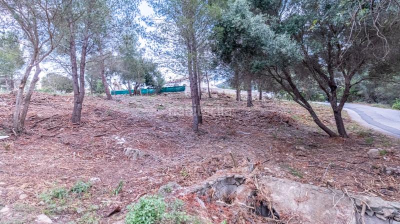 Foto fb0ec3df-c6e4-476d-96ca-bd3420d25e2b. Terreny residencial a El Montgó Dénia