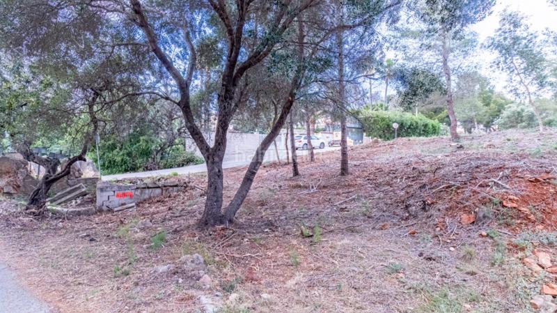 Foto 9c1c7a0f-1c6a-484f-94c9-494f4b997479. Terreno residenziale in El Montgó Dénia