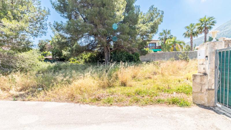 Foto 1c5e3ccf-264d-443f-8b69-1c6d5a801697. Terreny residencial a El Montgó Dénia