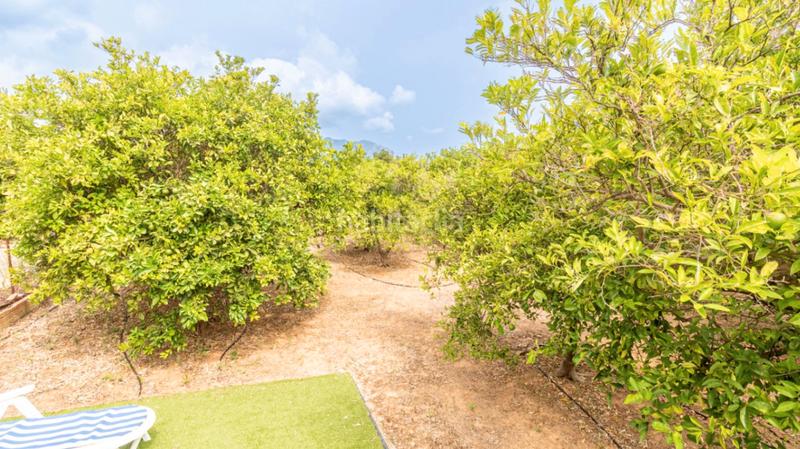 Foto b092a776-d4d9-4fc5-a26a-044cd29579dd. Chalet con parcheggio piscina in Pedreguer