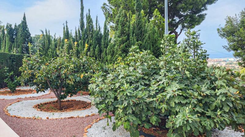 Foto 1f60d882-b875-4296-a709-493e3ee64bea. Chalet con riscaldamento parcheggio piscina in El Montgó Dénia