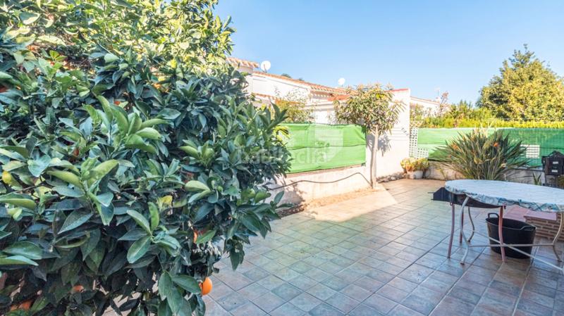 Foto b5ccf76b-9e84-4afc-8443-a3c4670385c1. Alquiler casa en Les Bassetes - El Marjal Dénia