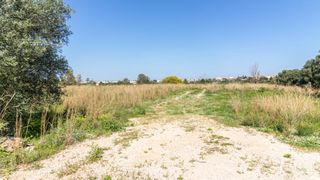 Terreny residencial a La Pedrera-Vessanes