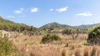 Residential Plot in Orba