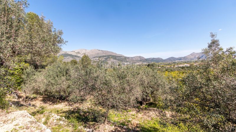 Foto 1e63a3bd-6d4b-4281-924c-93c2919c7666. Terreny residencial a Orba