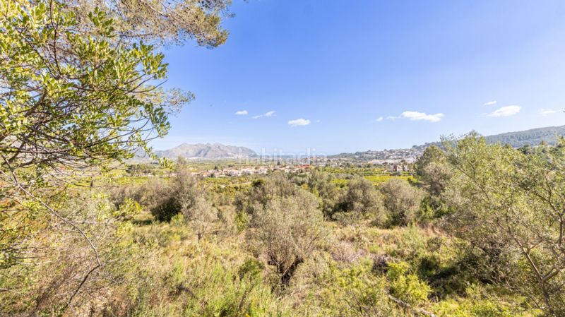 Foto 3513dd68-ddfe-4d91-8e6e-9554f3834534. Terreny residencial a Orba