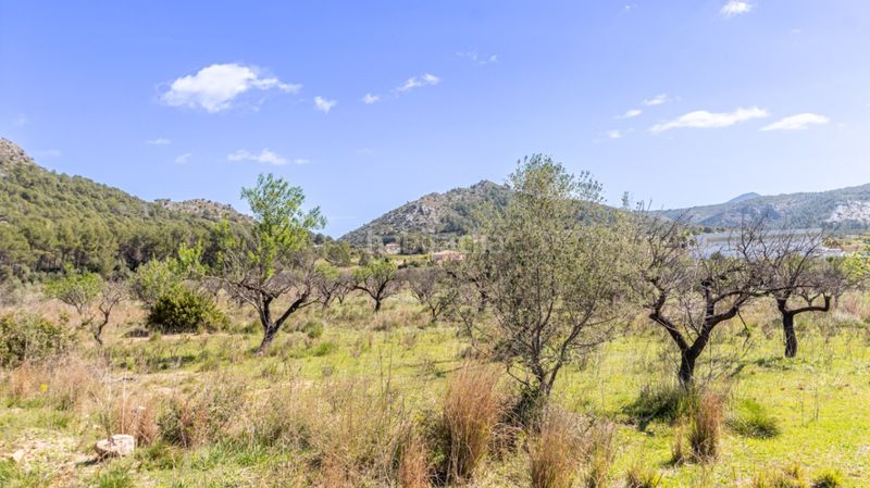 Foto 5ae15a82-f010-4f82-8c0a-7b560c296829. Terreny residencial a Orba