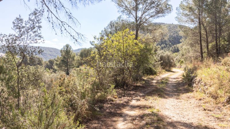 Foto d097afff-8491-46f5-94bf-8e8376929e67. Terreny residencial a Orba