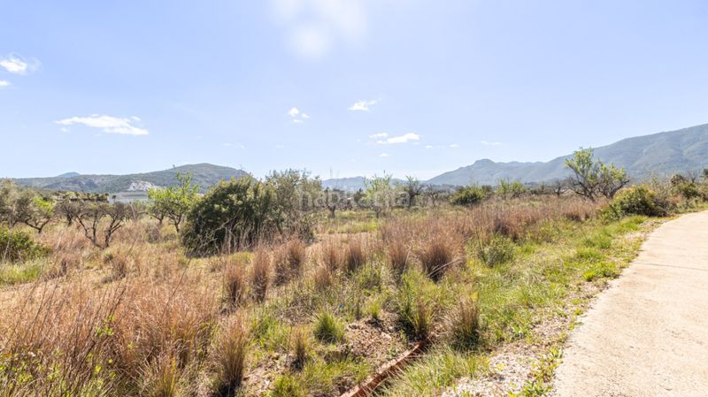 Foto dea5d450-bbe0-40d3-9762-f81b0a9653c9. Terreny residencial a Orba