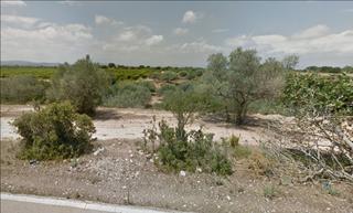 Finca rstica  N/a. Fincas agricolas de regadio con pozos y arboles. apta para explo