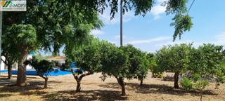 Masia a Costa Norte. Gran finca rustica en zona deveses costa norte vinaros