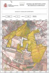 Terreny residencial a Cálig. En venta finca de 218.000m en termino de calig castellon.