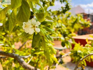 Casa in Cálig. Casa con jardin y piscina privada en calig!