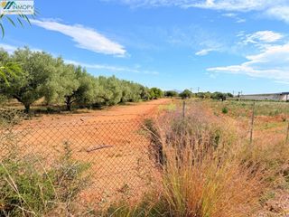 Finca rústica a Las Atalayas-Urmi-Cerro Mar. Oportunidad! parcela rústica de 3.900 m2 en peñíscola con acceso