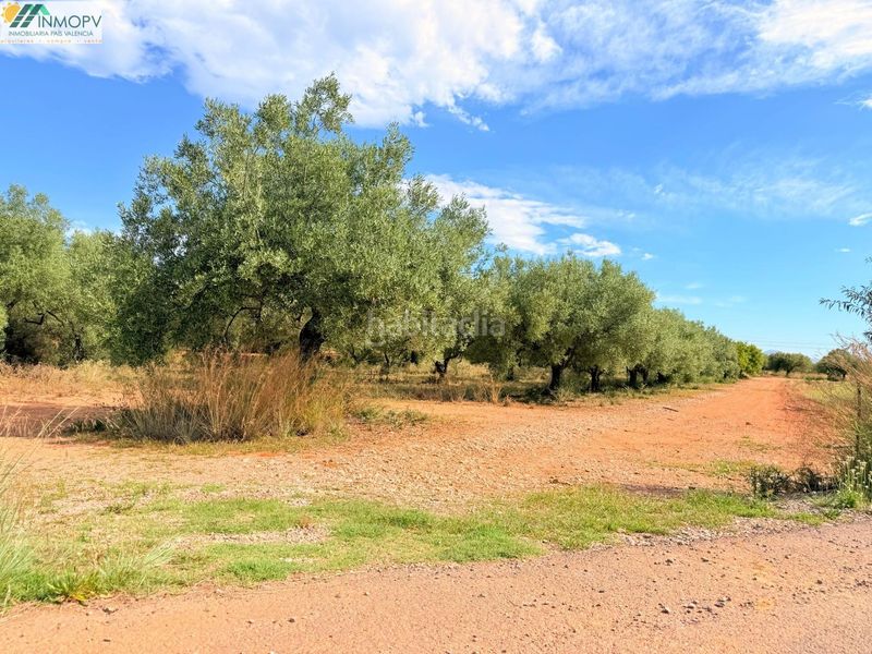Foto 231d6f36-9382-487e-92c3-62a4067c761f. Finca rústica a Las Atalayas-Urmi-Cerro Mar Peñíscola