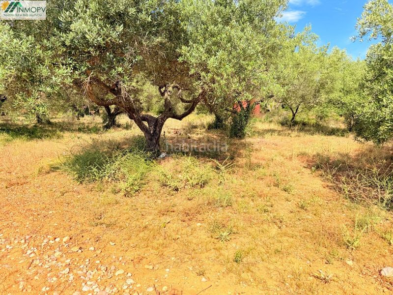 Foto 6a943076-6ba6-4828-810e-38a47e441216. Finca rústica a Las Atalayas-Urmi-Cerro Mar Peñíscola