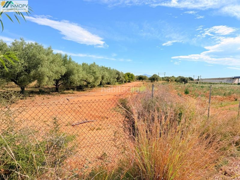 Foto e1d000a6-bd31-47d6-b79b-3c674a5c2776. Finca rústica a Las Atalayas-Urmi-Cerro Mar Peñíscola