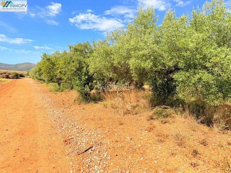 Foto e61e8848-abb1-4813-8b40-c71a31352c92. Finca rústica a Las Atalayas-Urmi-Cerro Mar Peñíscola