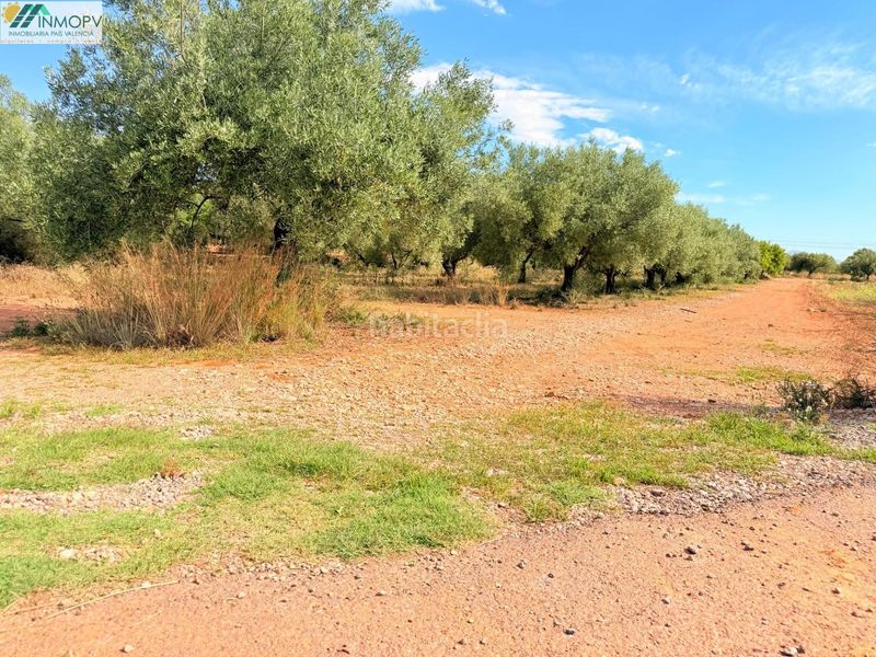 Foto f33b2e16-a358-413d-b6aa-7188d1189428. Finca rústica a Las Atalayas-Urmi-Cerro Mar Peñíscola