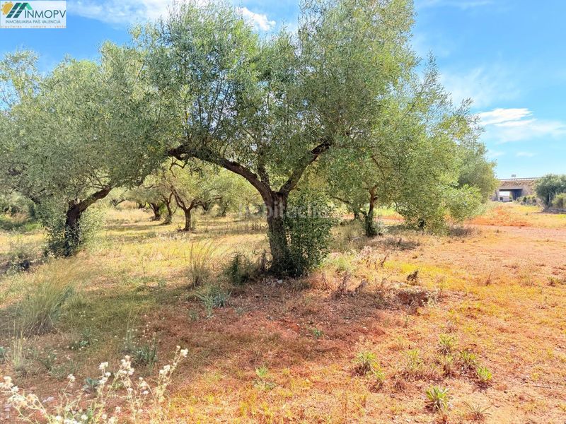 Foto f5257050-cd20-4f12-bf4d-d0491d2fbf05. Finca rústica a Las Atalayas-Urmi-Cerro Mar Peñíscola