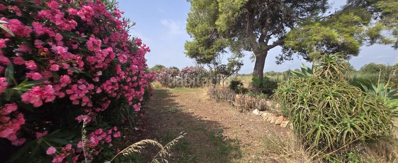 Foto 0ea04689-ce4c-44f8-a9c8-50b4b56636c5. Masía en venta finca rustica en dos vilas . parcela de 6150m2 con una caseta. en Vinaròs